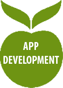 app-development-4
